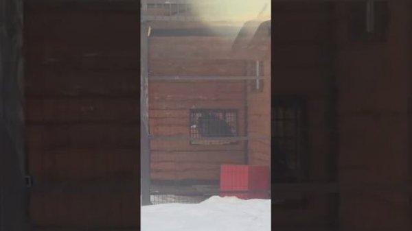 18022026г Свидание ШЕРХАНА Шерхан и Киара [get.gt]