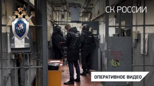 Возбуждено уголовное дело в отношении участников террористического сообщества в Забайкальском крае