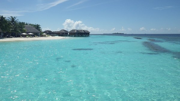 KISS ME - $ FLUTTER $ - РАДОСТНАЯ