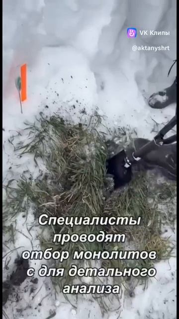 video_11715576160126 смотреть онлайн