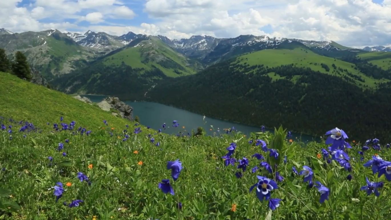 И. Гайдн. Концерт для гобоя. 2ч. Горный Алтай. I. Haydn. Concerto for oboe. 2h смотреть онлайн