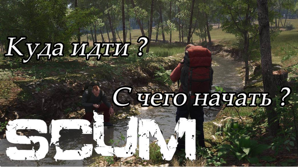 Scum Гайд для новичков 2026 / как начать выживать, где лутаться новичку....#scum #гайд смотреть онлайн