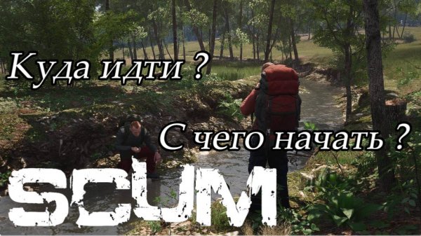 Scum Гайд для новичков 2026 / как начать выживать, где лутаться новичку....#scum #гайд