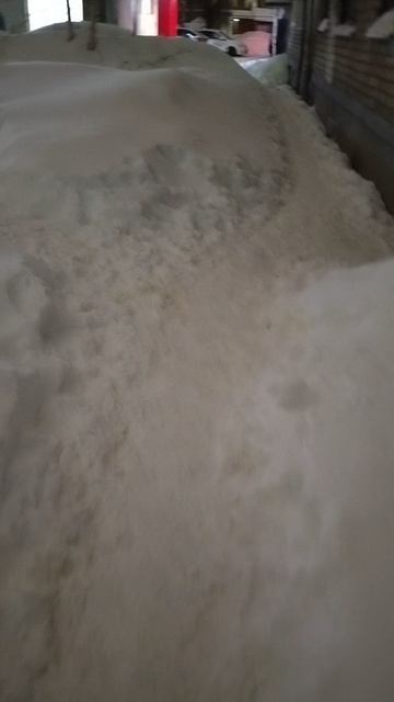 №1462 Двор Г. Звезда 73-Красноармейская 52 15 февраля 2026 г., 21:04:29 VID_20260215_210303730