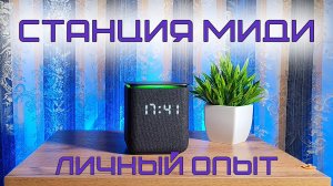 Яндекс Станция Миди: опыт пользователя, функционал, плюсы и минусы (2026)