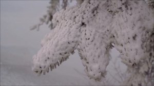 Не смотрите в зеркало. Роковая ошибка даты 20 февраля.