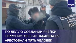 По делу о создании ячейки террористов в ИК Забайкалья арестовали пять человек