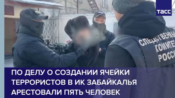 По делу о создании ячейки террористов в ИК Забайкалья арестовали пять человек
