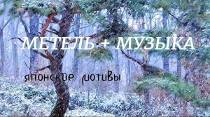 Белый шум метели + струнная японская мелодия | Сон • Фокус • Релакс #зимнийлес #звукиприроды