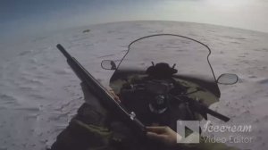 охота на волков со снегохода.подстрелил хищника