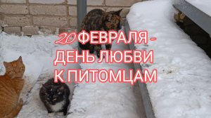 20 ФЕВРАЛЯ- ДЕНЬ ЛЮБВИ К ПИТОМЦАМ.