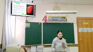 Калысова Эркеайым 4В - Планеты Солнечной системы