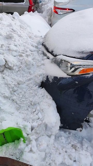 Вот так работают Трактористы ГБУ Жилищник Останкинского района