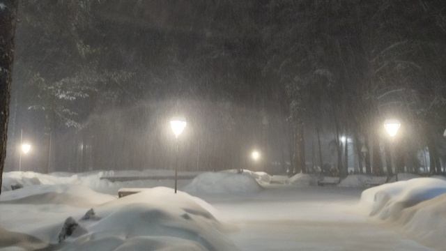 PXL_20260219_064507731 смотреть онлайн