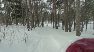 О синей галочке, карте в описании и забегающих с лайкотопами