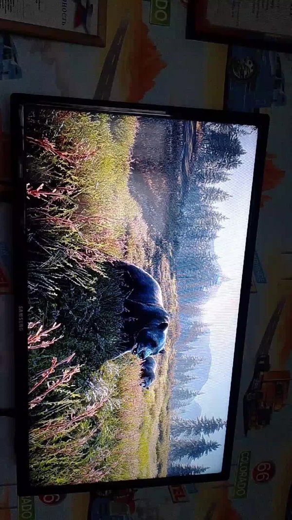 играю в игру Охота и fortnite