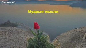 Начните с маленьких шажочков, но каждый день. Мудрые мысли