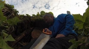 Тайна острова Матуа [недляэфира] 21