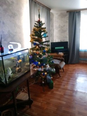 коллаб с моим другом