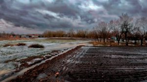 Оттепель в мороз - Покусала собака