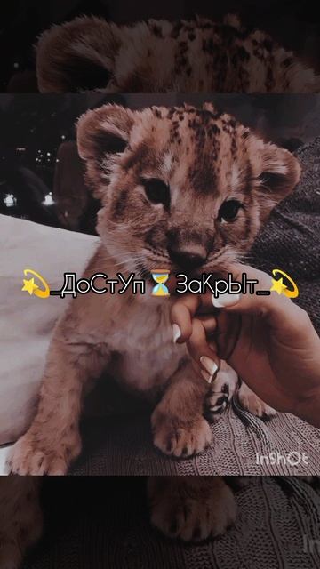 👍новая цыганская песня 2026👍👑👩❤️👨🥹👼 смотреть онлайн