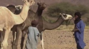 Далеко, аж не верится, В.Пьянов