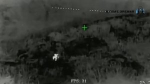 Бегшунглок