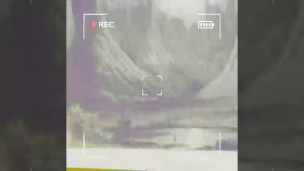 content_warning_widio_s_drugomom_ru