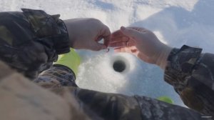 Вечерка на карьере в  Никольском. Рыбка клюет.