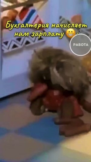 Шикарнейшая озвучка)