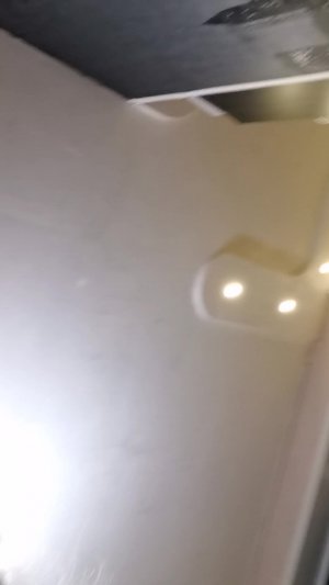 Обзор на значёк капибары