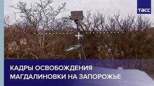 ТАСС публикует кадры освобождения Магдалиновки на Запорожье