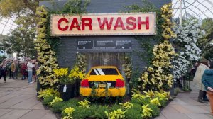 Прогулка по ботаническому саду Нью-Йорка. Бронкс, Нью-Йорк, 1080p HD