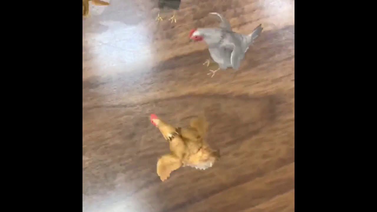 3D курочки