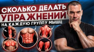 Сколько делать упражнений на каждую группу мышц
