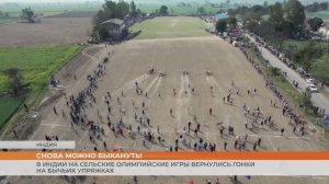 В Индии на сельские Олимпийские игры вернулись гонки на бычьих упряжках