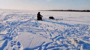 Деревенские рыбаки на р Свирь