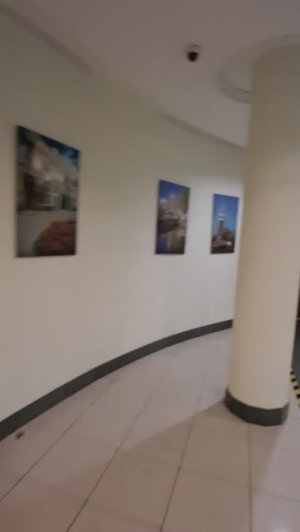 +79119222951, Алексей Владимирович.