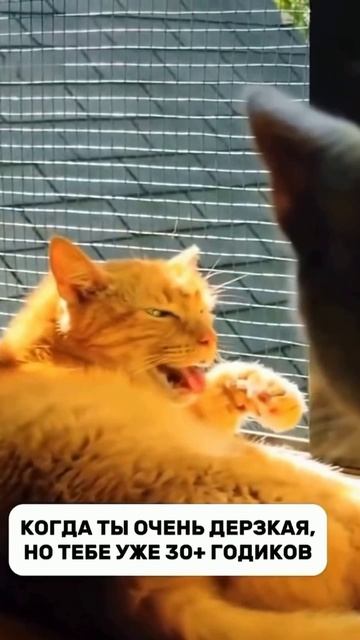 Возраст смотреть онлайн