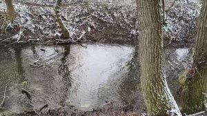 Керчь. Речка, ЖК Комарова 19.02.26