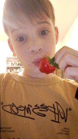 обзор на лабубу