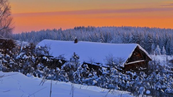Моя Жизнь в Тайге в Морозы и Метели. Деревня, Рыбалка, Ночёвки под Луной.