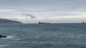 Ялта. C'est la vie...Черное море. Пляж "Дельфин" Ливадия. 19.02.26.Крым.Crimea.Yalta. That's the way