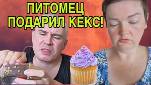 ФУФЕЛ КЕКС ПОДАРИЛ. ПИРАТСКАЯ ЖИЗНЬ.  ОБЗОР.