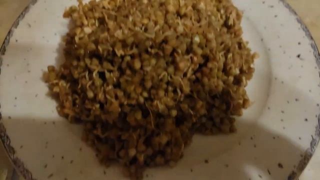 Живу на цельном растительном питании. 29.01.2026