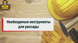 Необходимые инструменты для рассады