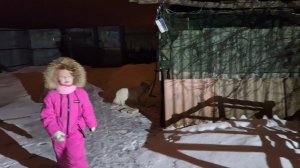 Жизнь Деревенская