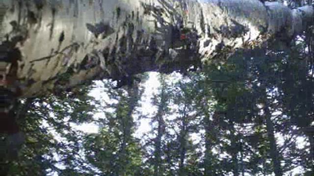 Татарский пролив смотреть онлайн