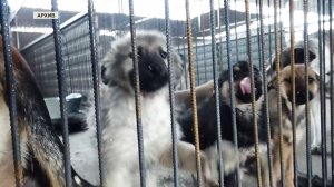 Программа "Главные новости" на 8 канале от 19.02.2026 Часть 2