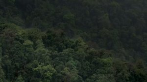 Официальный трейлер "Ноктюрны (2024)"